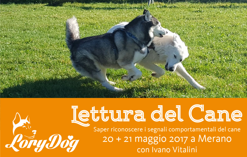 Merano (BZ) 20 e 21 Maggio 2017 - Seminario pratico: La lettura del cane con Ivano Vitalini