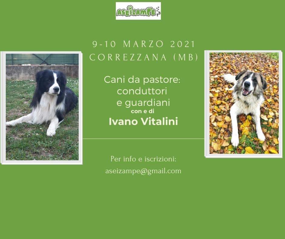 CORREZZANA (Monza) 9-10 Marzo 2021 - Cani da Pastore: conduttori e guardiani con Ivano Vitalini