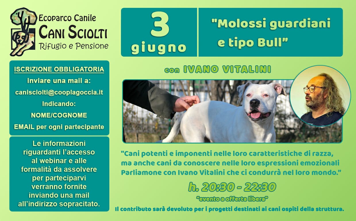 Webinar 3 Giugno 2021 - Molossi guardiani e tipo Bull con Ivano Vitalini