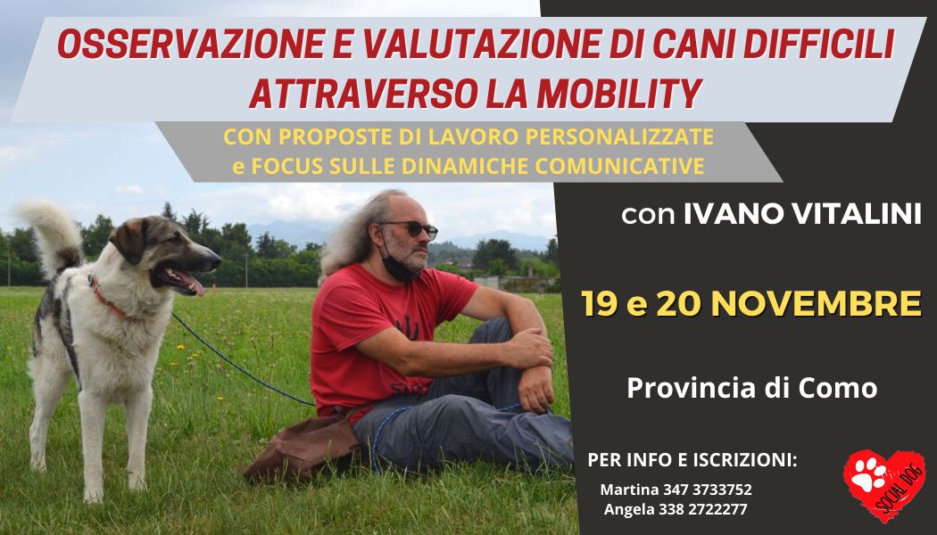 COMO 19 e 20 Novembre 2021 - Osservazione e lettura di cani difficili attraverso la Mobility con Ivano Vitalini