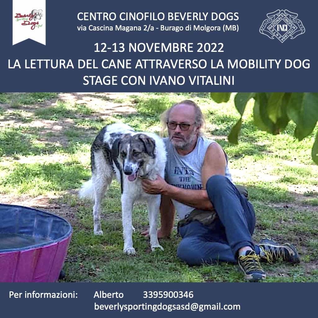 Burago di Molgora 12 e 13 Novembre 2021 - La lettura del cane difficile attraverso la Mobility Dog con Ivano Vitalini