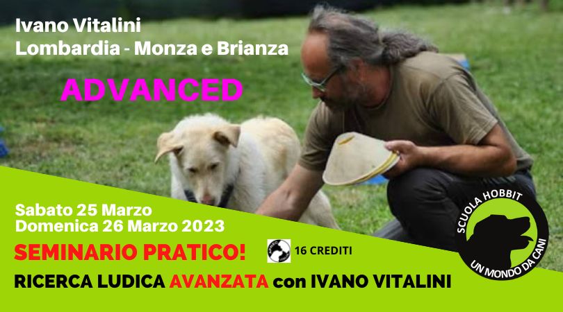 Monza 25 e 26 marzo 2023 - Ricerca ludica avanzata con Ivano Vitalini