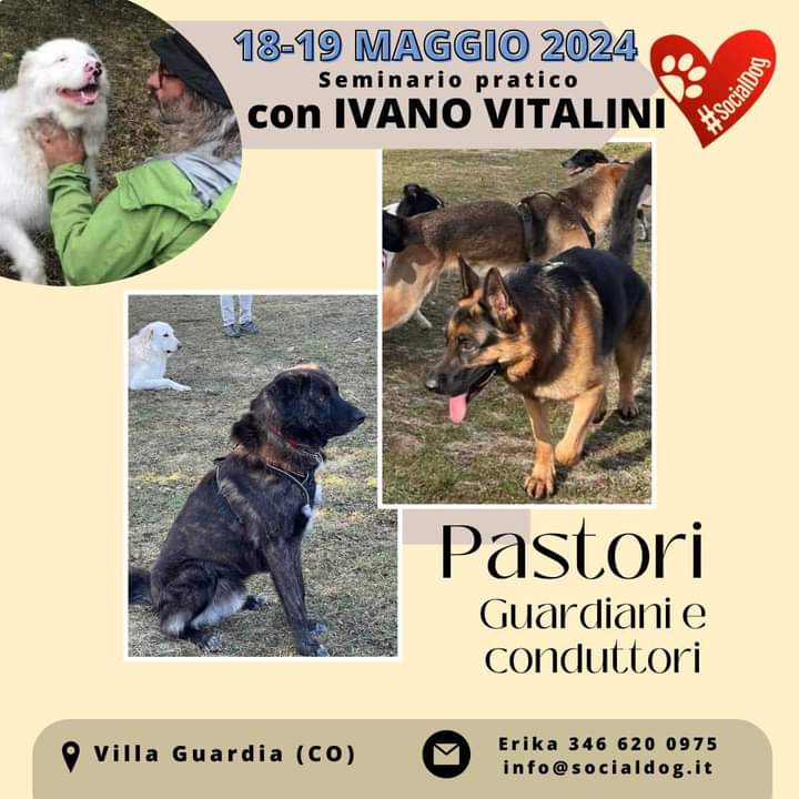 Villa Guardia (Como) 18 e 19 maggio 2024 - Pastori guardiani e conduttori con Ivano Vitalini