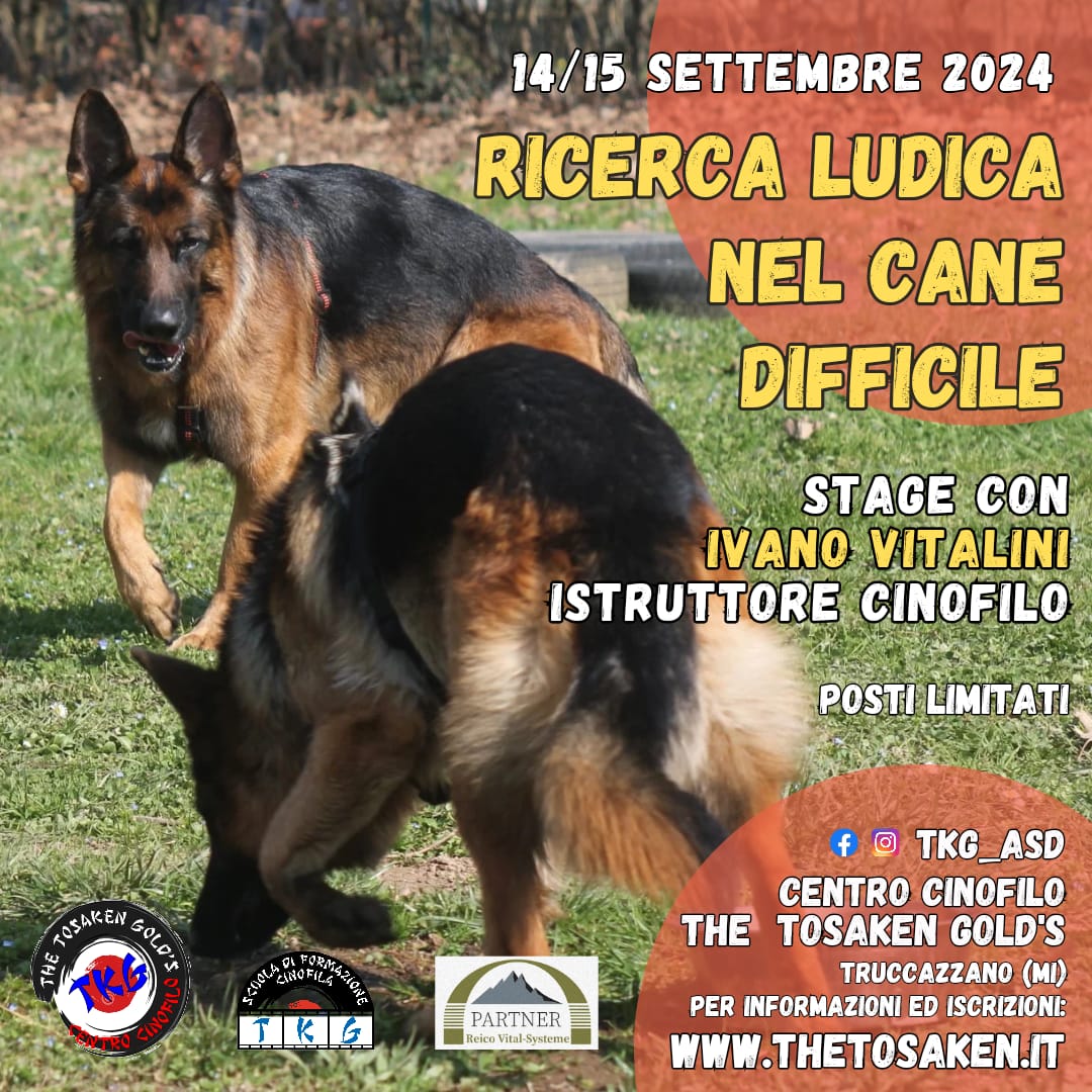 Trucazzano (Milano) 14 e 15 settembre 2024 - Ricerca Ludica nel cane difficile con Ivano Vitalini