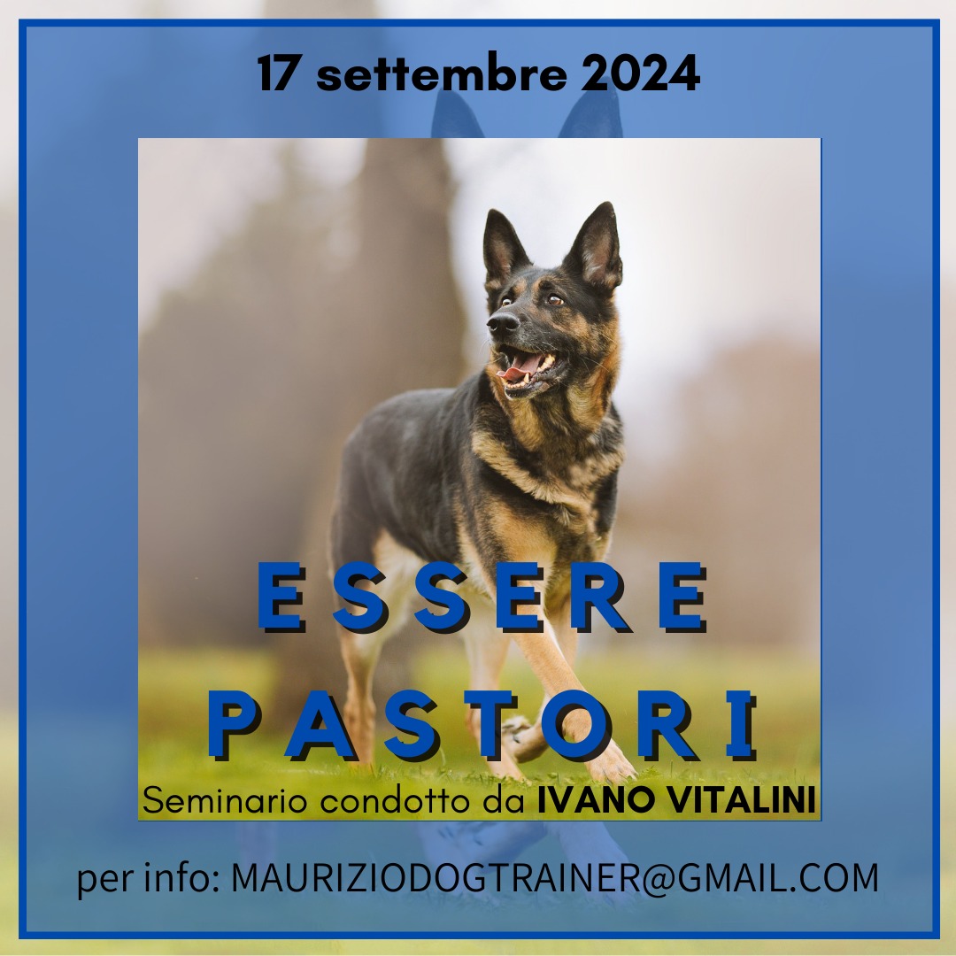 Triuggio (Monza) 17 settembre 2024 - Essere Pastori con Ivano Vitalini