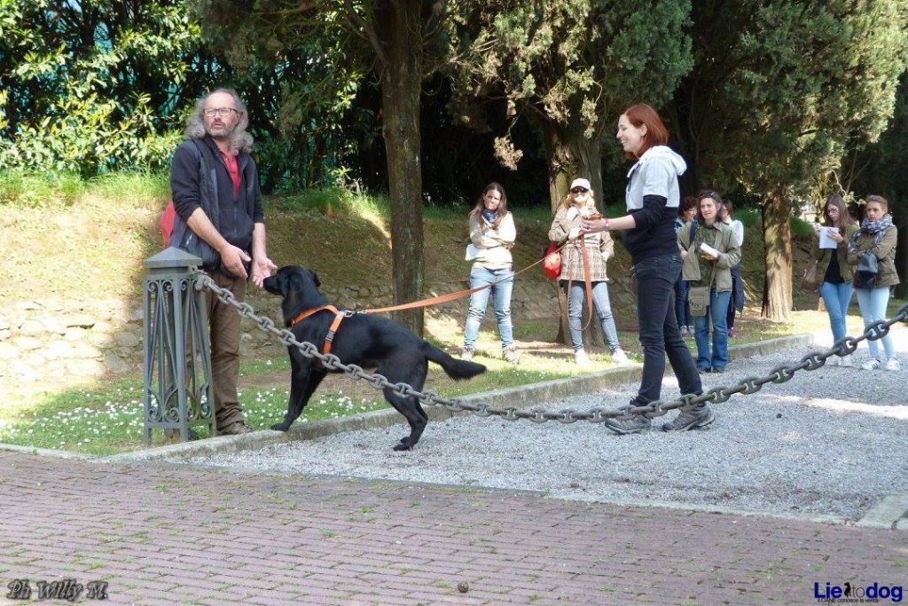 Grignano di Brembate (BG) 11 giugno 2017 - La Urban Mobility Dog insieme ai cani del canile con Ivano Vitalini