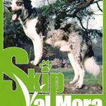 LOGO_SKIP_ValMora