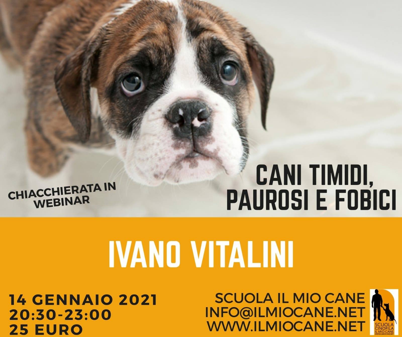 Webinar - Cani timidi, paurosi e fobici