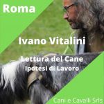 ROMA 27 e 28 Febbraio2021- Lettura del cane e ipotesi di lavoro con Ivano Vitalini