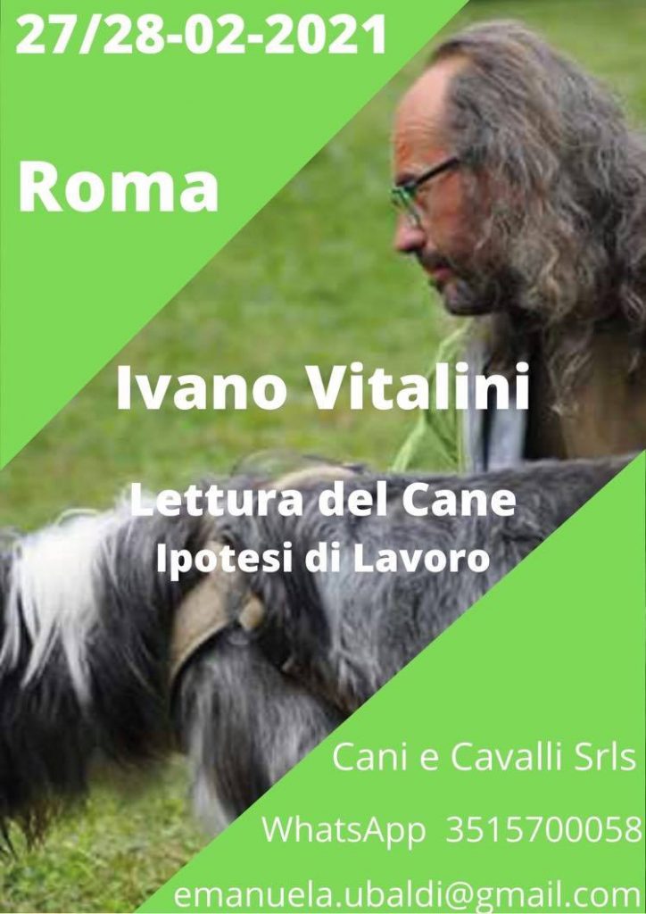 ROMA 27 e 28 Febbraio2021- Lettura del cane e ipotesi di lavoro con Ivano Vitalini