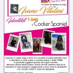 DESIO 4 maggio 2021 – Stage sui Cocker Spaniel con Ivano Vitalini