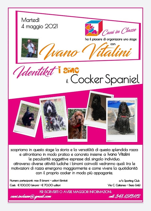 DESIO 4 maggio 2021 - Stage sui Cocker Spaniel con Ivano Vitalini