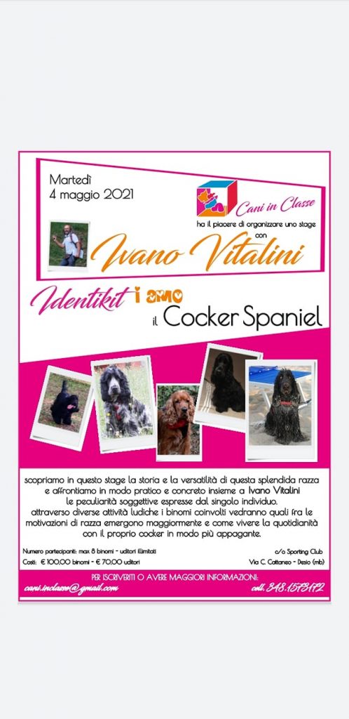 DESIO 4 maggio 2020 - Stage sui Cocker Spaniel con Ivano Vitalini