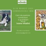 CORREZZANA (Monza) 9-10 Marzo 2021 – Cani da Pastore: conduttori e guardiani con Ivano Vitalini