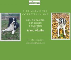 CORREZZANA (Monza) 9-10 Marzo 2021 - Cani da Pastore: conduttori e guardiani con Ivano Vitalini