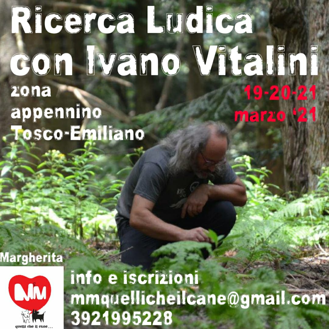19, 20 e 21 Febbraio 2021 - Stage di Ricerca ludica con Ivano Vitalini