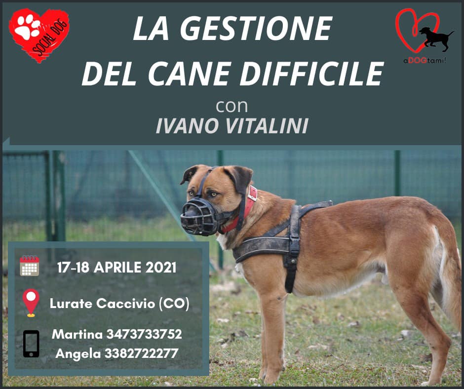 COMO 17-18 Aprile 2021 - La gestione del cane difficile con Ivano Vitalini