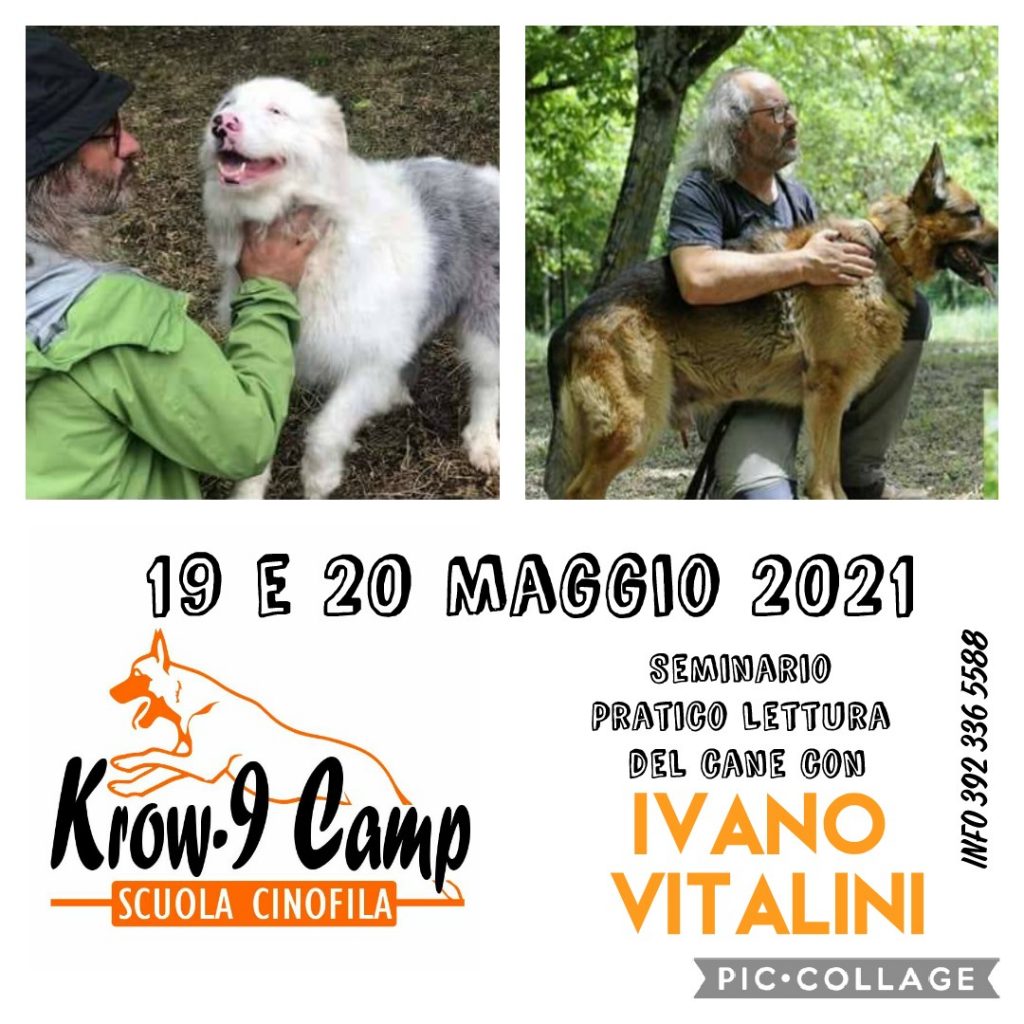 19-20 Maggio 2021 - Seminario di lettura del cane con Ivano Vitalini
