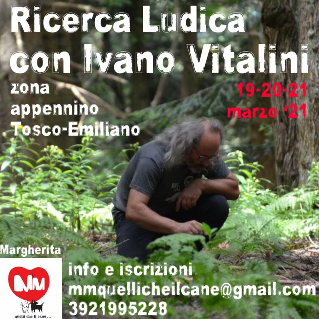 Webinar 1 Aprile 2021 - Meno tecnica più capacità di essere cane con Ivano Vitalini