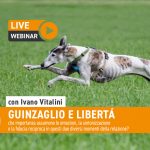 Webinar 17 Maggio 2021 – Guinzaglio e libertà con Ivano Vitalini