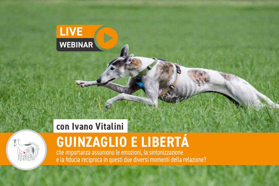 Webinar 17 Maggio 2021 - Guinzaglio e libertà con Ivano Vitalini
