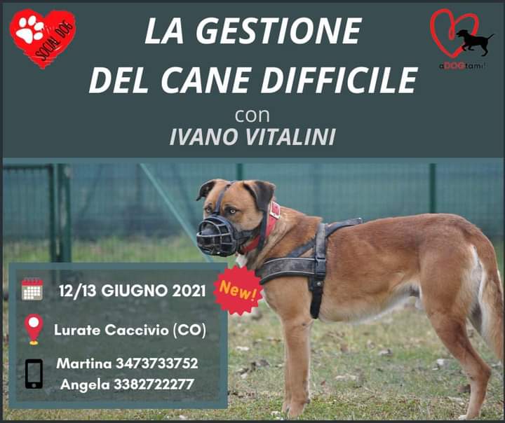COMO 12 e 13 Giugno 2021 - La gestione del cane difficile con Ivano Vitalini