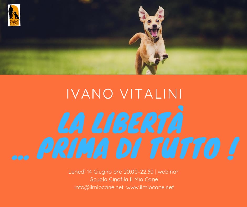 Webinar 14 giugno 2021 - La libertà prima di tutto con Ivano Vitalini