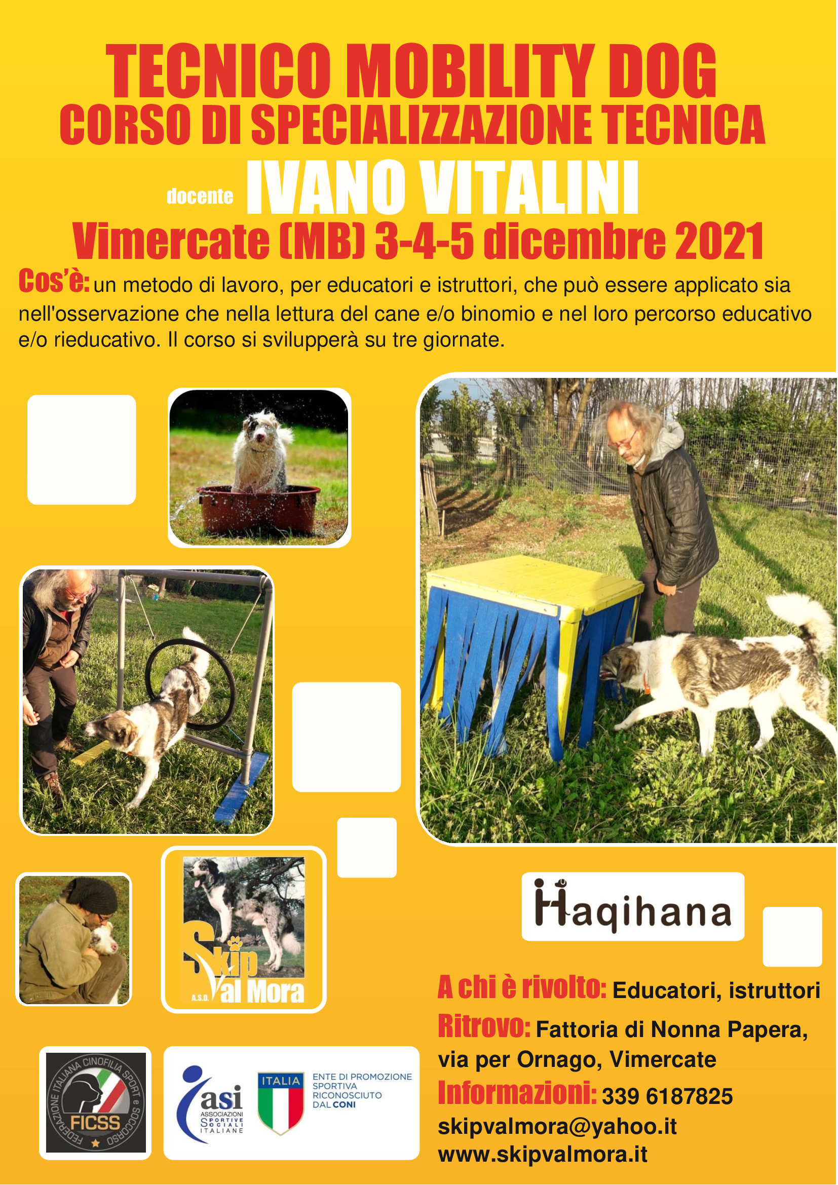 Vimercate (MB) 3-4-5 Dicembre 2021 - Tecnico Mobility Dog con Ivano Vitalini