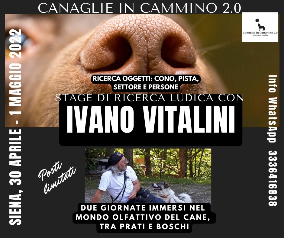 Siena 30 aprile e 1 maggio 2022 - Ricerca ludica con Ivano Vitalini