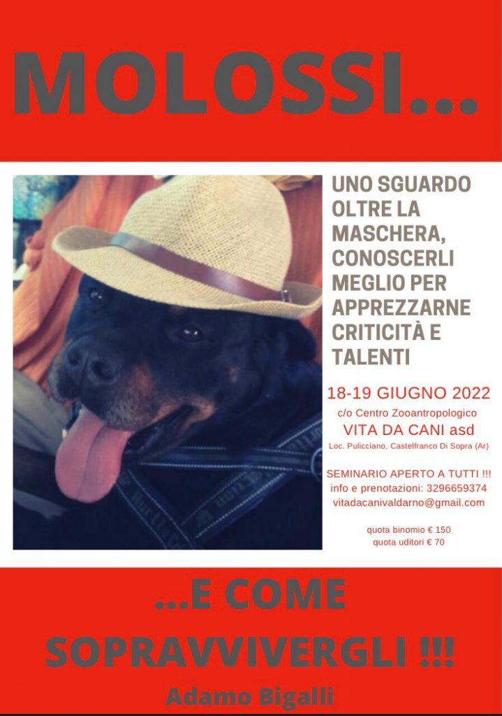 Castelfranco di Sopra 18 e 19 Giugno 2022 - Molossi e come sopravvivergli con Ivano Vitalini
