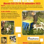 Corso_Tecnico_Mobility_SkipValmora – Copy