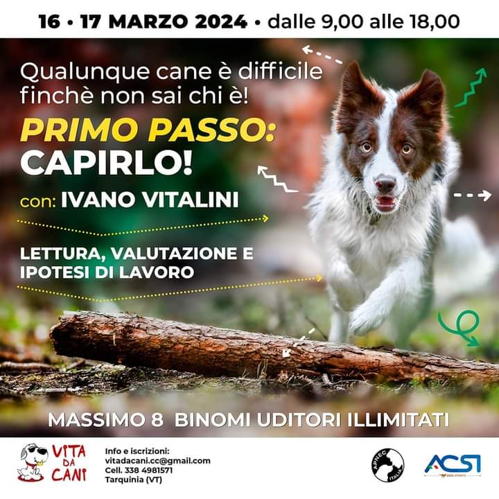 Tarquinia 16 e 17 Marzo 2024 - Primo passo: capirlo! con Ivano Vitalini