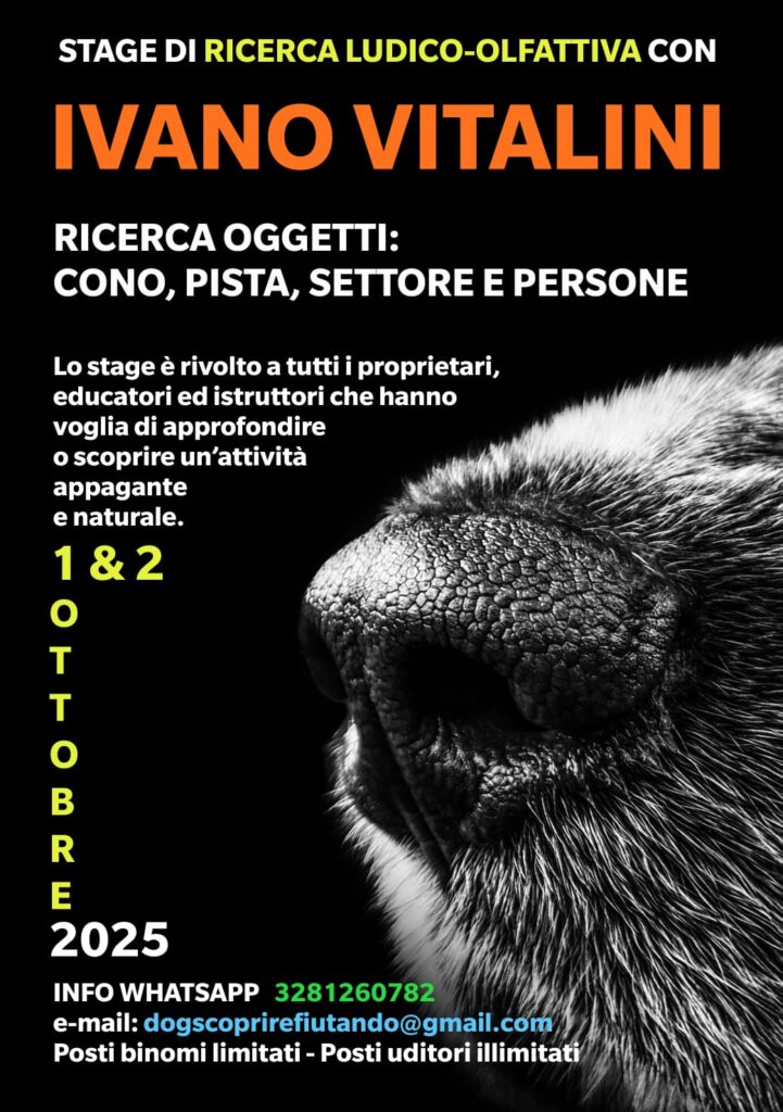 Seggiano (Grosseto) 1 e 2 ottobre 2025 - Ricerca oggetti: cono, pista, settore e persone con Ivano Vitalini